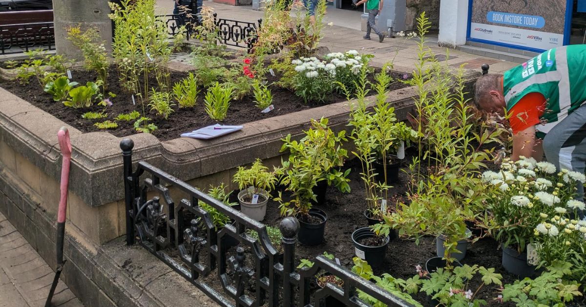 From Blooming Bairns to Beautiful Places: How Community Gardening Shapes the Future of Design